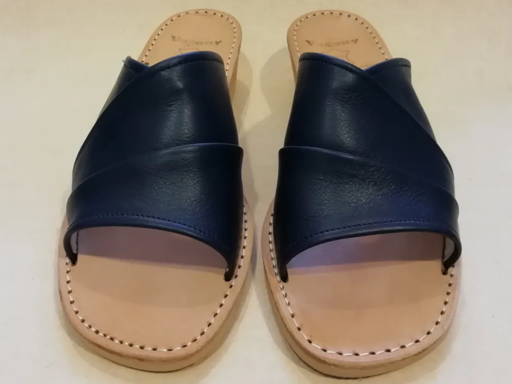 90503 F 41 Ciervo Blauw