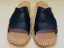 90503 F 41 Ciervo Blauw