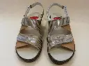 OL123-41 F 35 Ciervo Camel - Zebra Camel