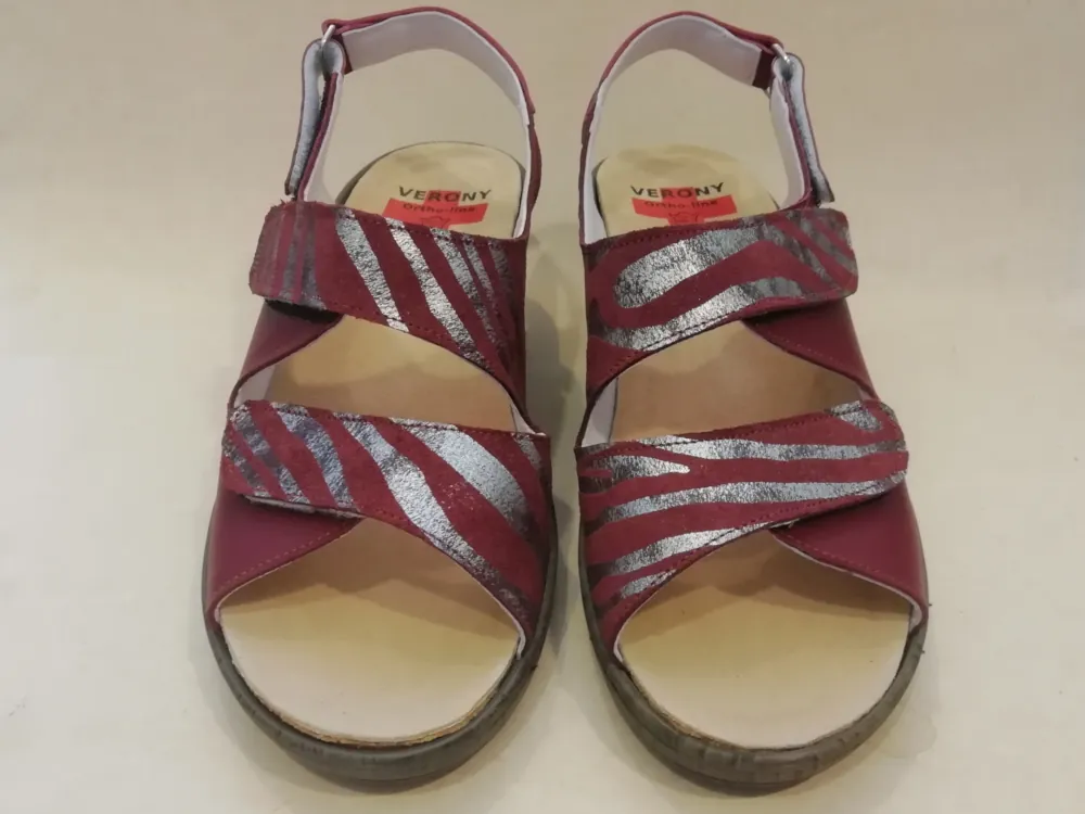 OL123-41 F 39 Ciervo Bordeau - Zebra Bordeau