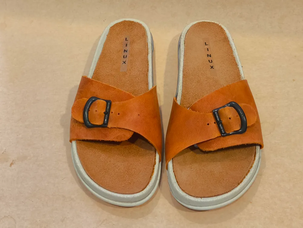 AW1280 F 37 Arizona Oranje