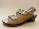 OL123-41 F 35 Ciervo Camel - Zebra Camel