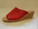 204 F 41 GL Rood