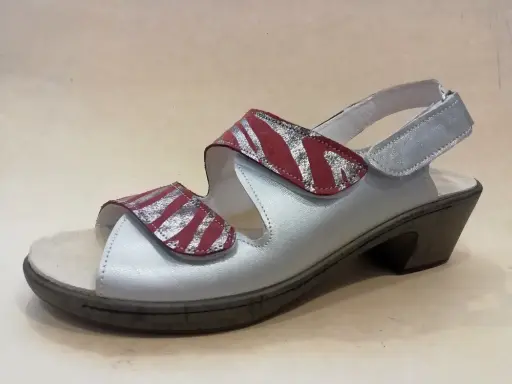 OL123-41 F 37 Perlato Zilvergrijs - Zebra Bordeau